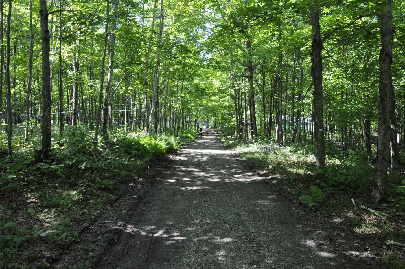 Sentiers pédestres - Camping Aventure Mégantic