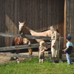 Ferme petits Torrieux - Camping Aventure Mégantic