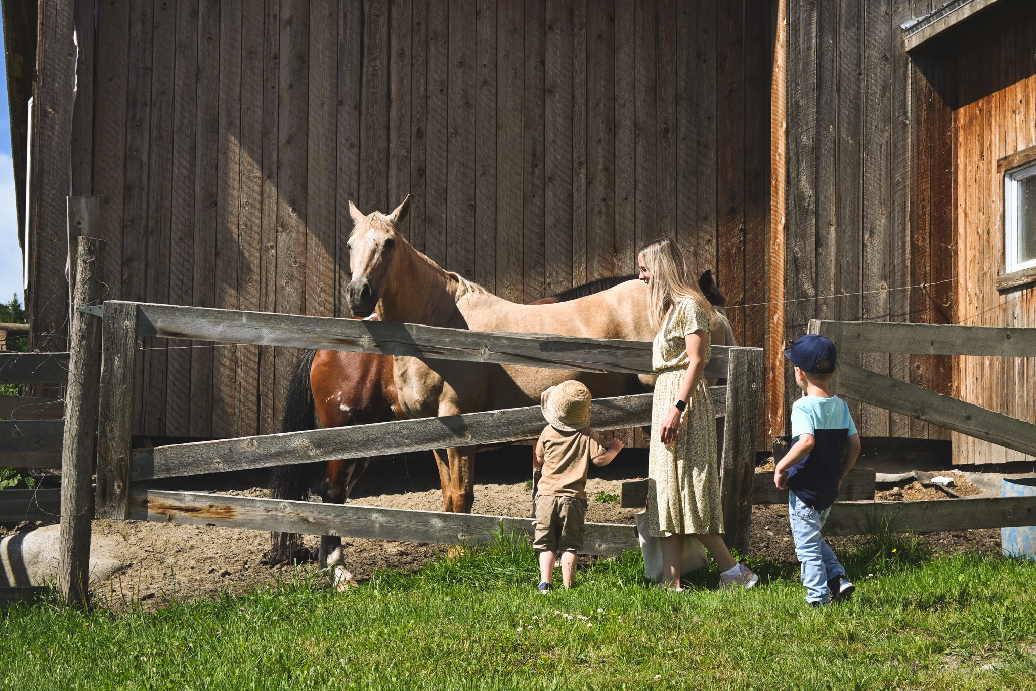 Ferme petits Torrieux - Camping Aventure Mégantic