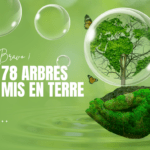 Compensation GES - Camping Aventure Mégantic