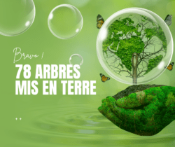 Compensation GES - Camping Aventure Mégantic