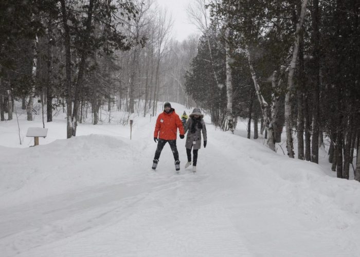 Sentier de patin en forêt - Camping Aventure Mégantic