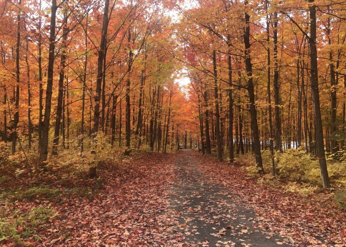 Couleur d'automne - Camping Aventure Mégantic