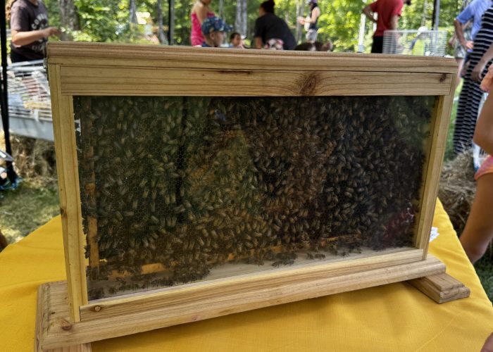 Pâques - Camping Aventure Mégantic