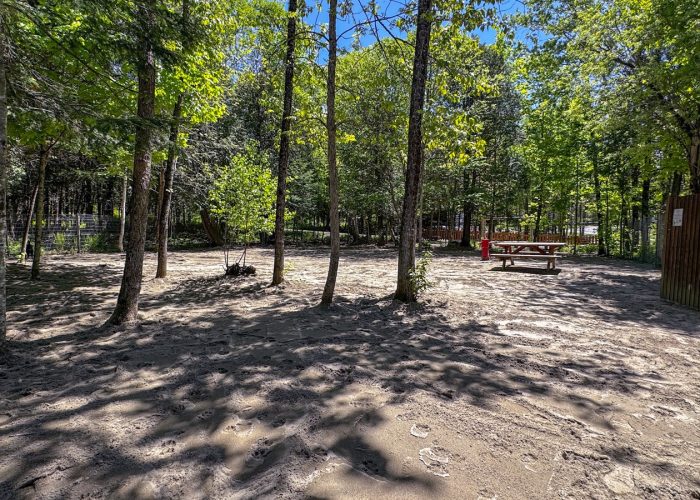 Parc à chiens - Camping Aventure Mégantic