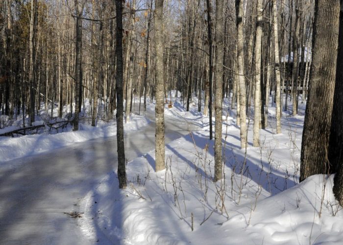 Sentier de patin en forêt - Camping Aventure Mégantic