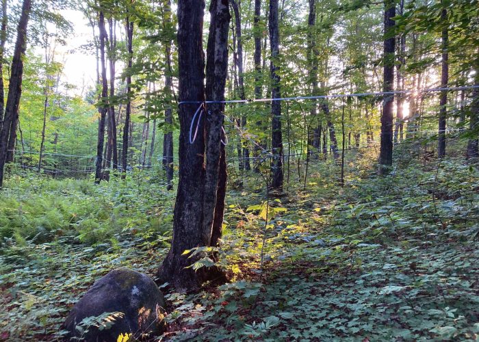 sentier pédestre - Camping Aventure Mégantic