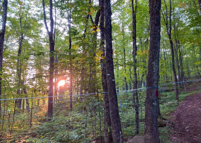 sentier pédestre - Camping Aventure Mégantic