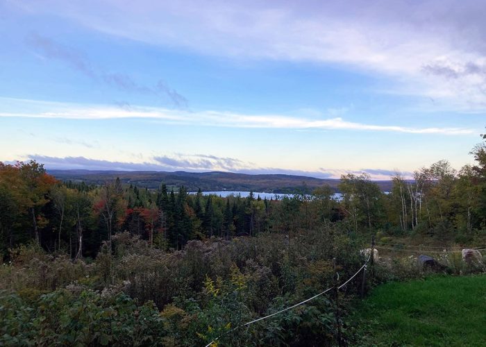 sentier pédestre - Camping Aventure Mégantic