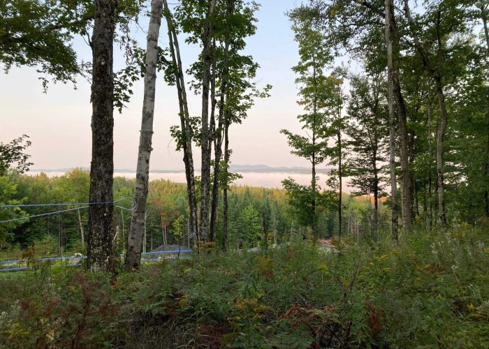 sentier pédestre - Camping Aventure Mégantic